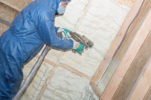 Best Insulation for Existing Homes  in Linglestown, PA